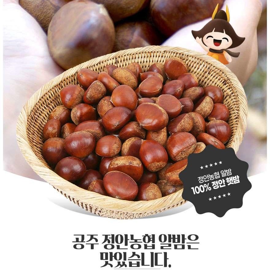 (택배비 포함)24년산 알밤(특)4kg(국산 100% 공주 정안면 햇밤)